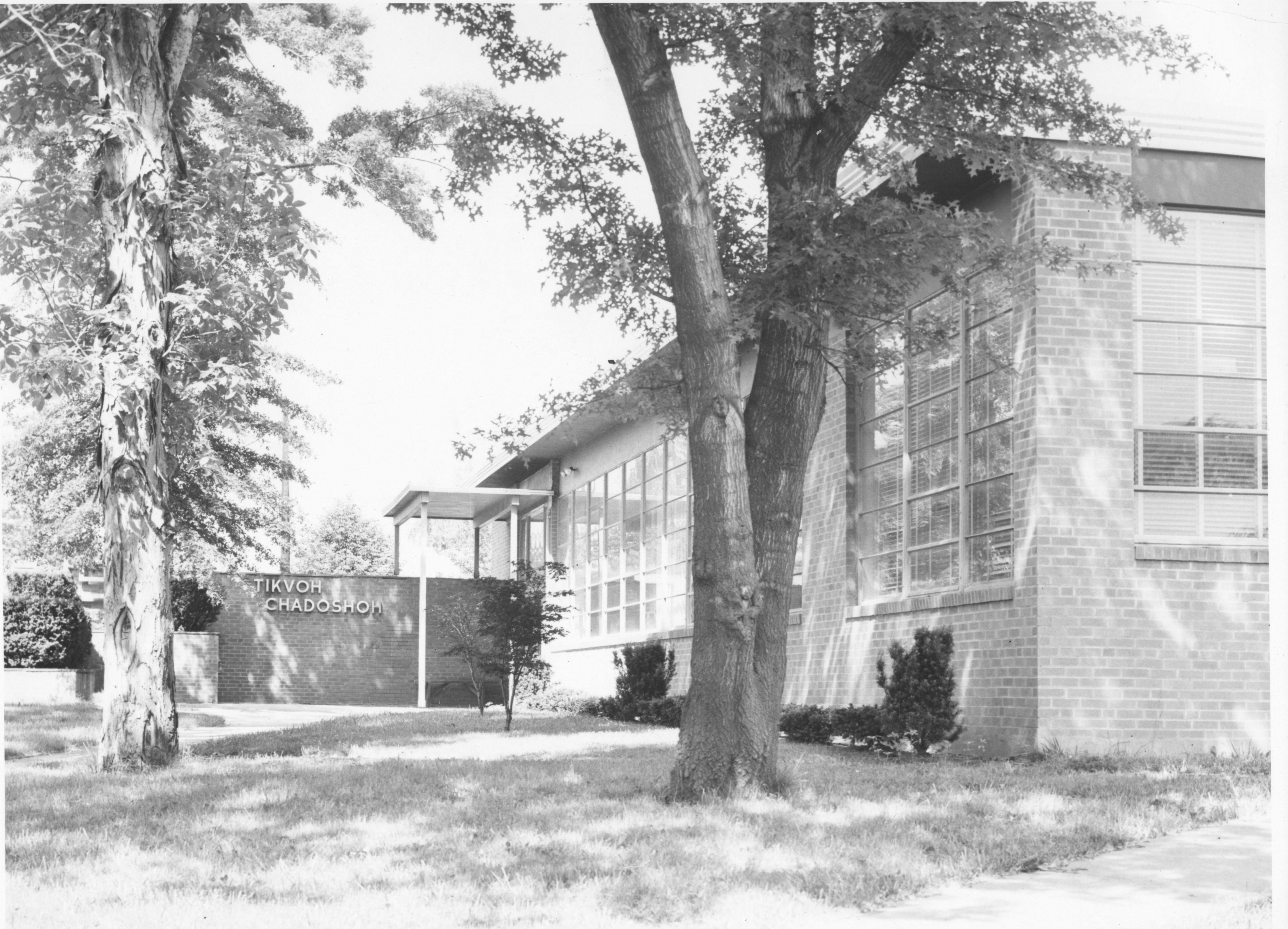 Tikvoh Chadoshoh Synagogue